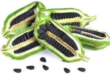 Black Sesame Seed Oil 50 ml