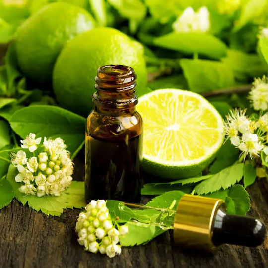 Lime Seed Vegetable Oil 500 ml