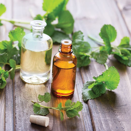 Ivy Plant Oil 500 Ml