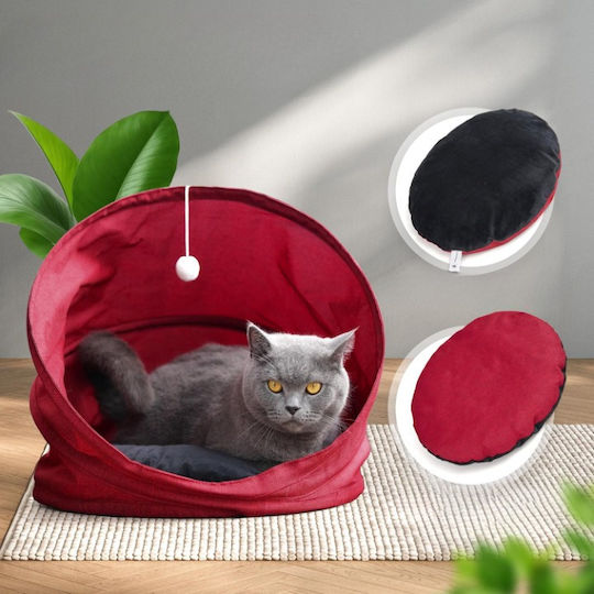 Bett Katze Rot