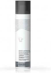 BMW Spumă De Curățare Pentru Tapițeria Auto 300ml