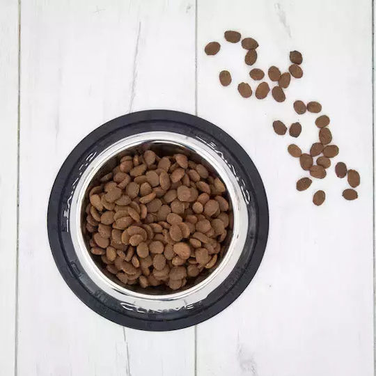 12kg Dry Food Grain-Free for Adult Dogs with Salmon, Tuna, Fish, Wheat, Calf and Lamb