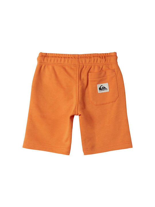 Quiksilver Kids Shorts/Bermuda Fabric Easy Day Sweat Orange