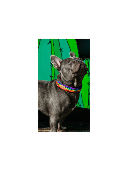 Unicord Ошийник
