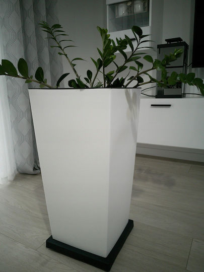 Prosperplast Βάση Γλάστρας Πλαστική Γκρι με Ρόδες 30x30εκ.
