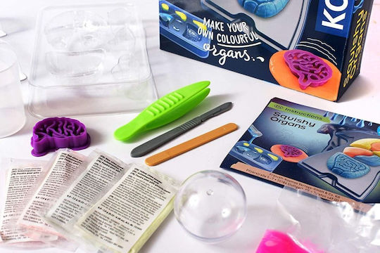 Kosmos Σετ Ανατομία Του Ανθρώπινου Σώματος STEM Educational Game Knowledge for 8-12 Years Old