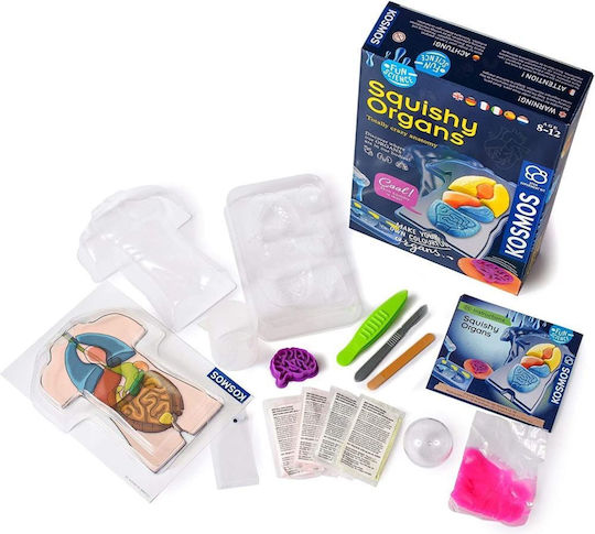 Kosmos Σετ Ανατομία Του Ανθρώπινου Σώματος STEM Educational Game Knowledge for 8-12 Years Old