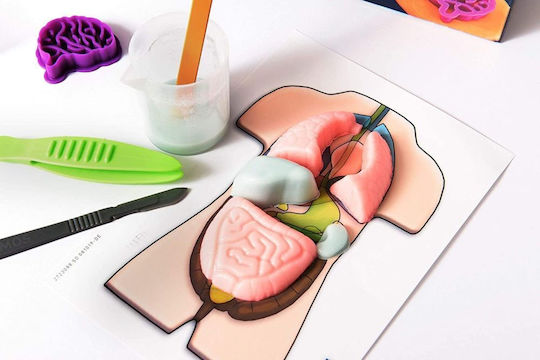 Kosmos Σετ Ανατομία Του Ανθρώπινου Σώματος STEM Educational Game Knowledge for 8-12 Years Old