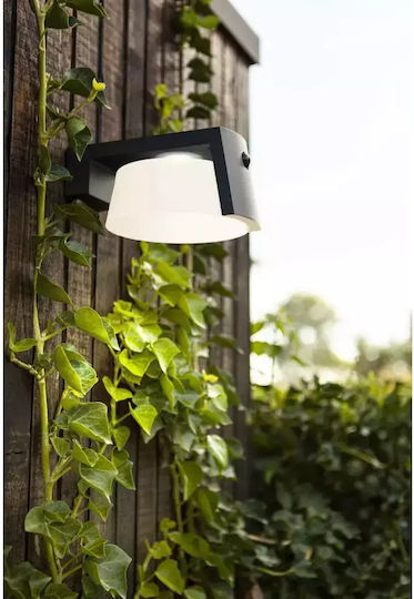 Lutec Wall Mounted Solar Light 9.5W 1000lm Natural White 4000K with Motion Sensor and Photocell IP44 16cmx21.7cmx9.6cmcm