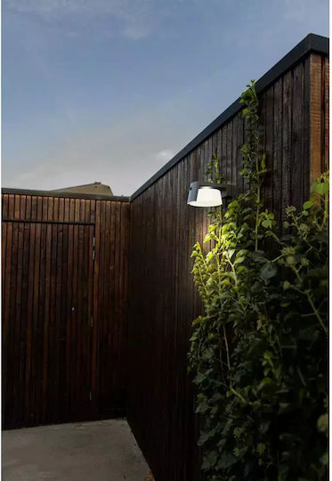 Lutec Wall Mounted Solar Light 9.5W 1000lm Natural White 4000K with Motion Sensor and Photocell IP44 16cmx21.7cmx9.6cmcm