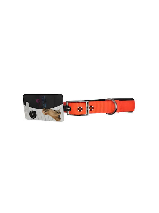 Pet Camelot Κολάρο σε Πράσινο χρώμα 25mm x 55cm Pet Camelot Κολάρο σε Πράσινο χρώμα 25mm x 55cm