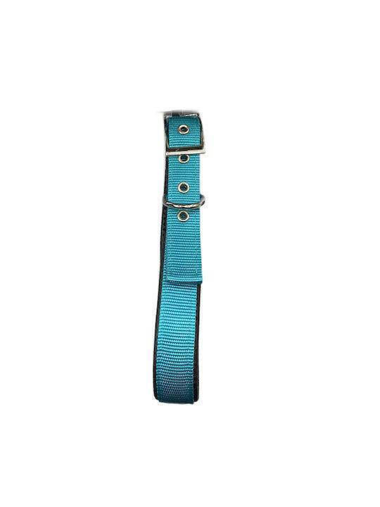 Pet Camelot Dog Collar in Green color 25mm x 55cm