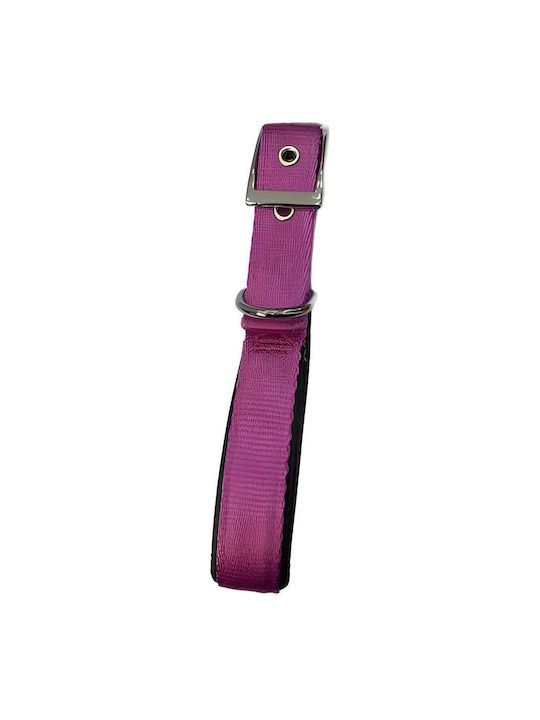 Pet Camelot Dog Collar in Green color 25mm x 55cm