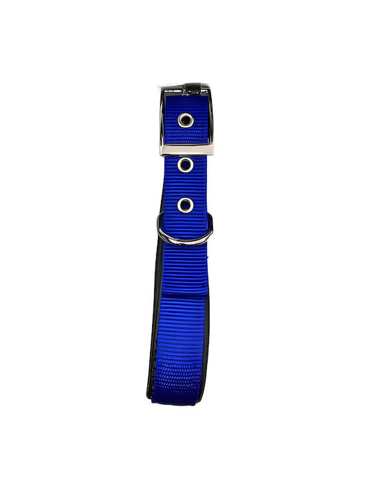 Pet Camelot Dog Collar in Green color 25mm x 55cm