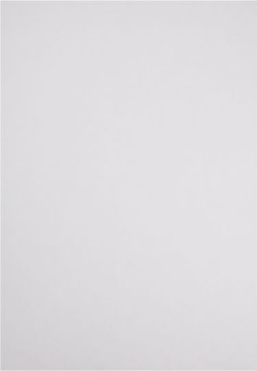 Canson-Karton 50x70cm. Lila