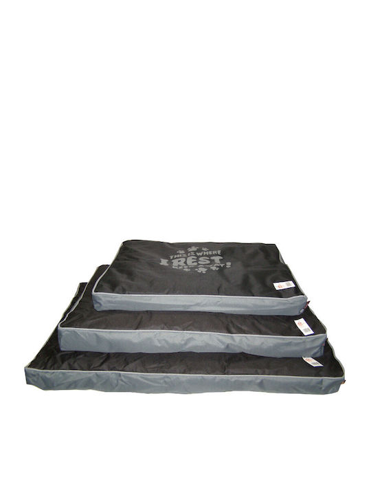 Pet Interest Pillow Dog Black 100x70cm