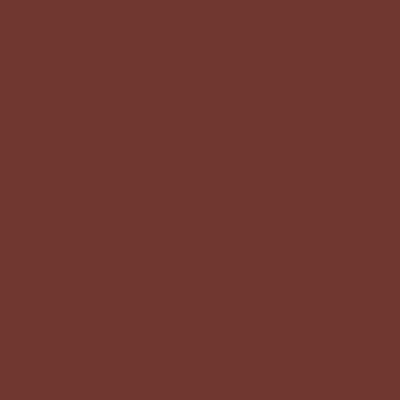 Royal Talens Art Creation Acrylic Acrylic Paint Set in Brown color Burnt Sienna 411 200ml 1pcs 3520411M