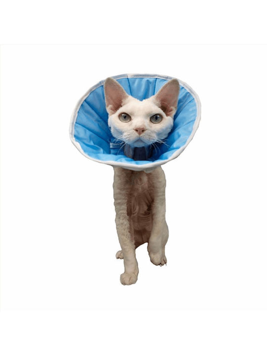 Grande Finale Hundehalsband aus in Blau Farbe 44cm
