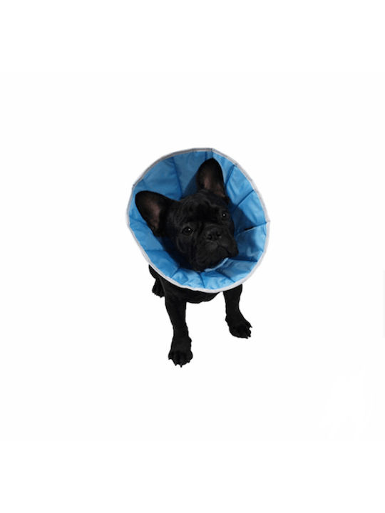 Grande Finale Hundehalsband aus in Blau Farbe 36cm