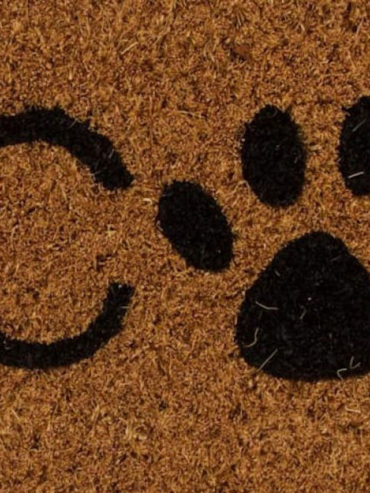 Synchronia Entrance Mat made of Coir with Anti-slip Backing Welcome 38x58cm