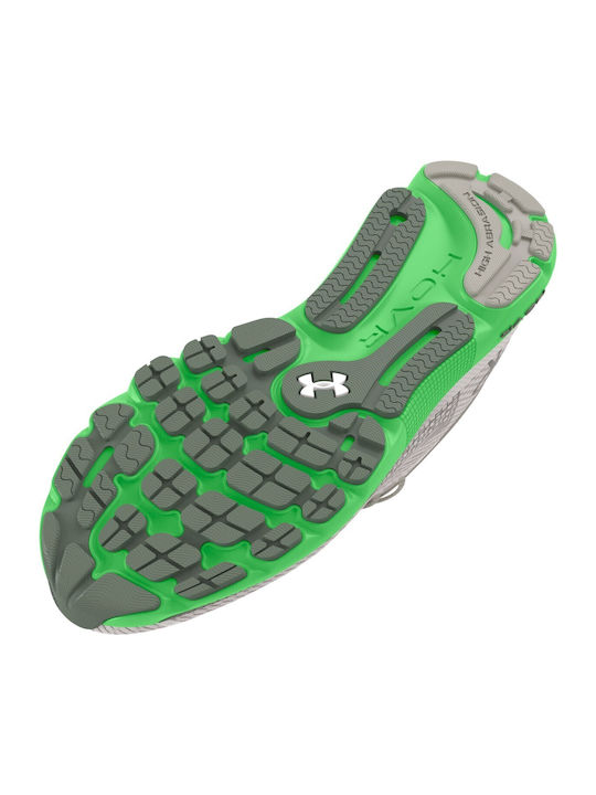 Ua Hovr Infinite 5 Sport Shoes Running White