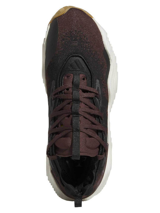 Trae Young 3 Niedrig Basketballschuhe Schwarz