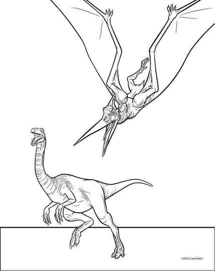 Diakakis Heft Geregelt 24 Blätter Jurassic 1Stück