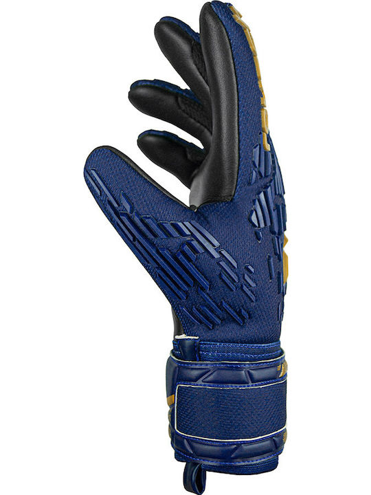 Reusch Attrakt Freegel Γάντια Τερματοφύλακα Ενηλίκων Μπλε