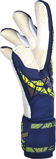 Reusch Attrakt Adults Goalkeeper Gloves Blue