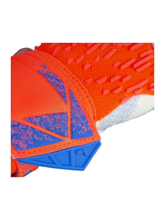 Reusch Attrakt Gold X Freegel Γάντια Τερματοφύλακα Ενηλίκων Κόκκινα