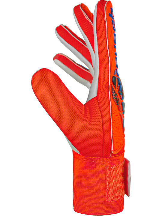 Reusch Attrakt Starter Solid Γάντια Τερματοφύλακα Ενηλίκων Πορτοκαλί