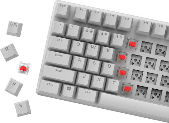 Dell Alienware Pro Wireless Gaming Mechanical Keyboard 75% with Custom switches and RGB lighting (English US) Lunar Light)