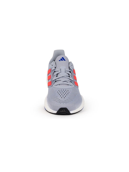Pureboost 23 Herren Sportschuhe Laufen GRI