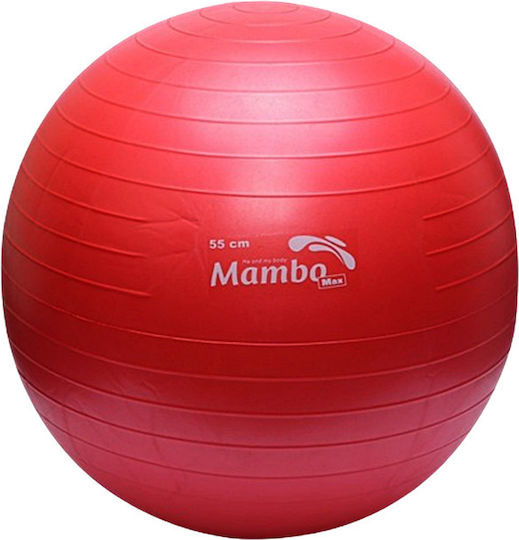 Alfa Care Μπάλα Pilates 55cm σε Κόκκινο Χρώμα