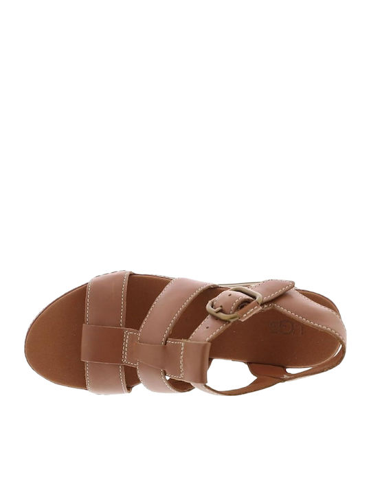 Abbot Women's Platform Shoes Tabac Brown