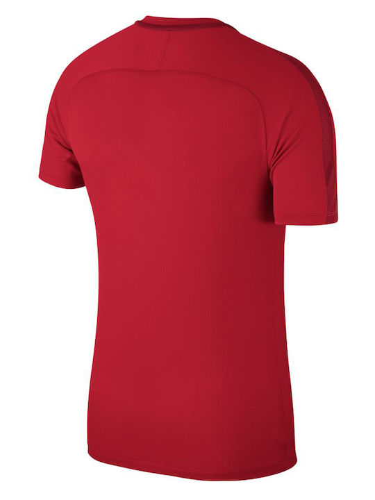 Nike Dry Academy 18 Top SS Παιδικό T-shirt Κόκκινο