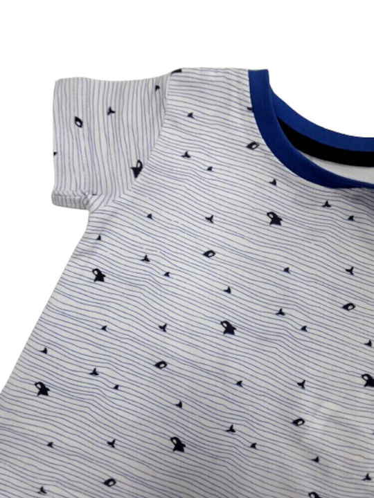 Venere Gray
