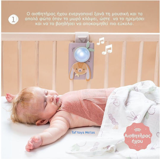 Taf Toys Ζωάκι Bunny Soother & Swaddle Set για Νεογέννητα