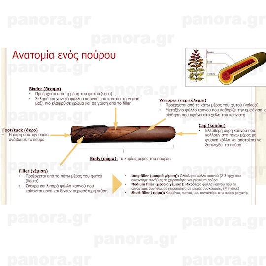 Pura Montecristo Club 20'