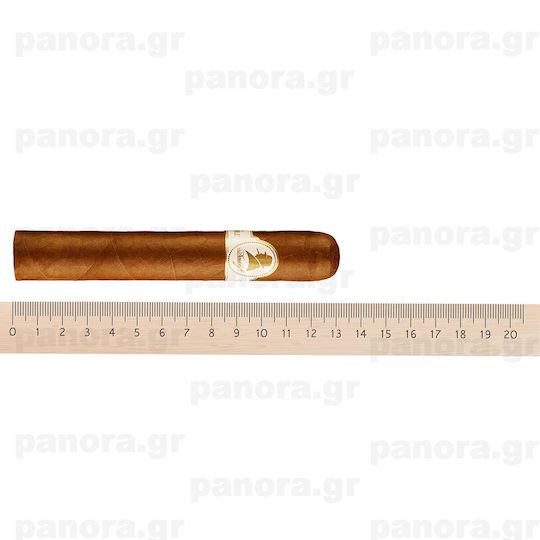 Пури Davidoff Winston Churchill Robusto