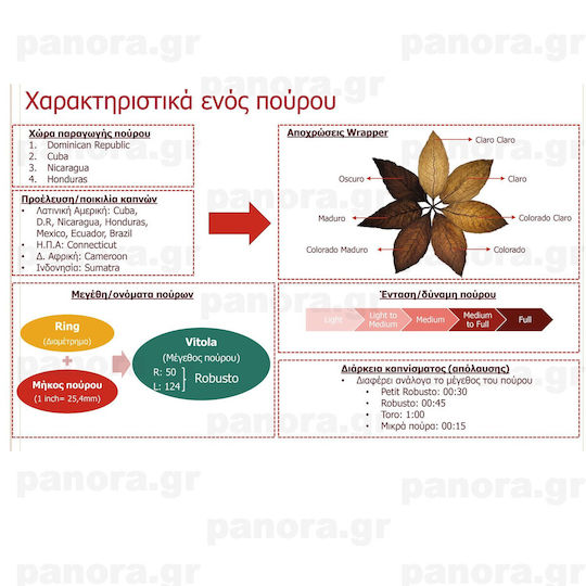 Πουρα Partagas Mini 10'