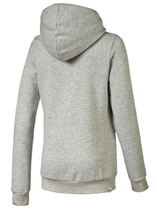 Puma Kinder Sweatshirt mit Kapuze Gray