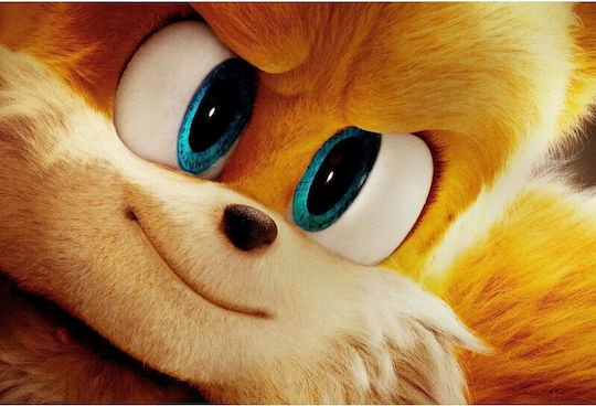 poster Miles Tails Prower Sonic Hedgehog 2 61x90cm Poster464