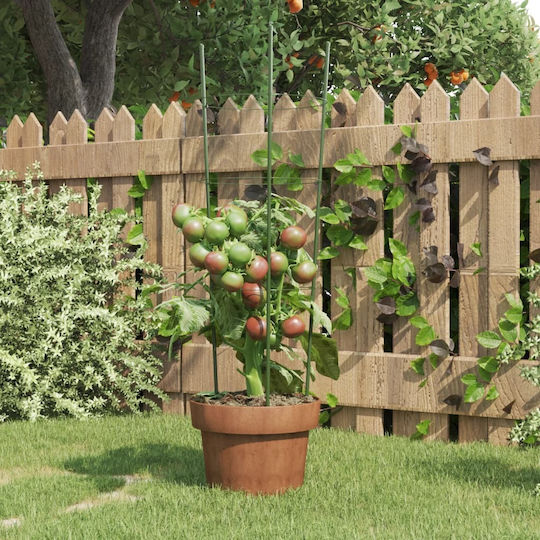 Garden Plant Stakes 3 Rings 5 Pcs Green 60 cm Steel 21.5 x 60 cm