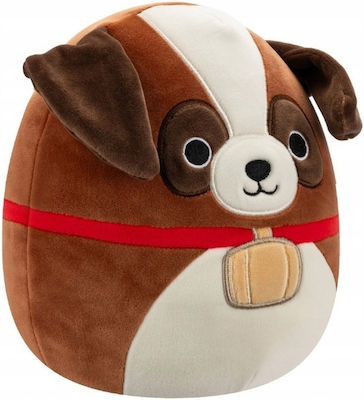 Jazwares Plüsch Squishmallows Fall Harvest Sassafras The St. Bernard 19 cm für 3+ Jahre