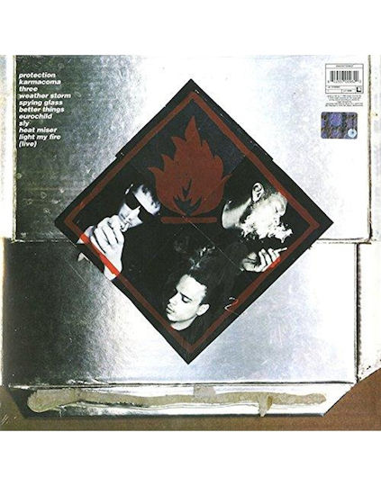 Universal Protection Vinyl