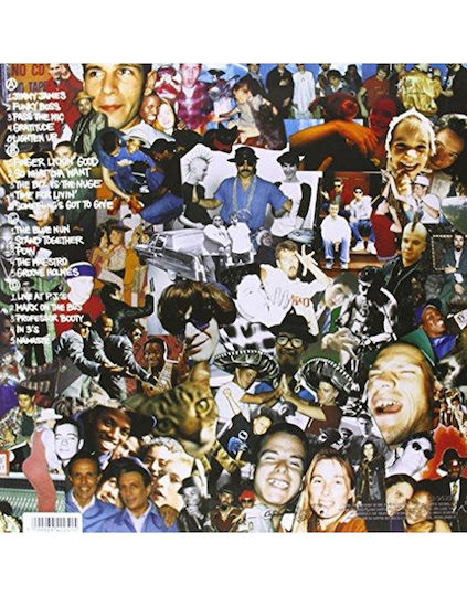 Check Your Head Vinyl