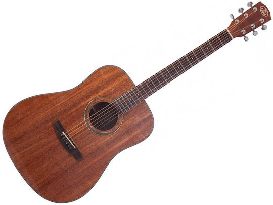 Prodipe Acustică Chitară