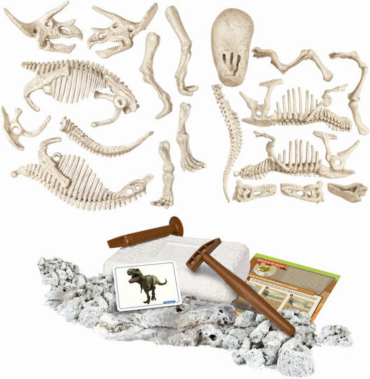 AS Fluo Joc Educațional Excavare de dinozauri