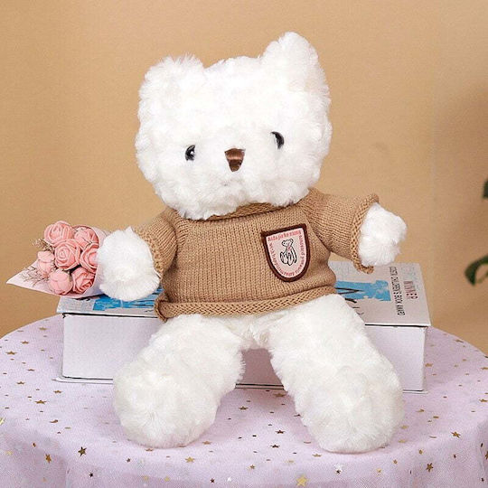 Teddy Plüschbär 65 cm (Verschiedene Designs) 1Stück